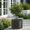 Heavy Duty Corten Steel Round Raised Garden Bed Kit – 15.5" Dia. x 20" H. – Pre-Rusted Metal Planter Box for Vegetables, Flowers