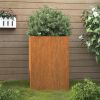 Planter Regular metal color, rust develops over time Corten steel