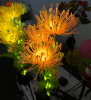 4 Pack Solar Garden Lights Outdoor, Solar Flower Lights for Yard with Lighting Modes, Glowing Flowers & Stems